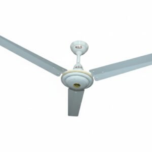 Economy Chanda Model